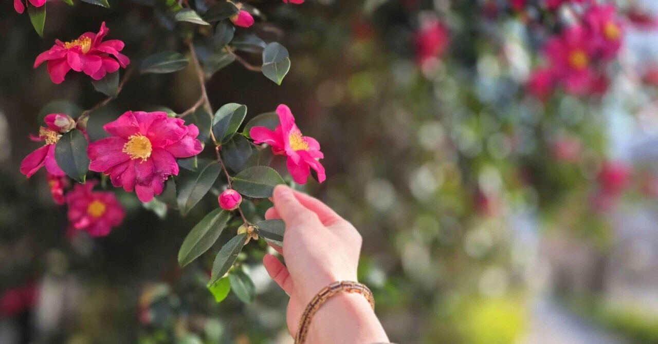 What I Have to Do From Here — The Evangelist